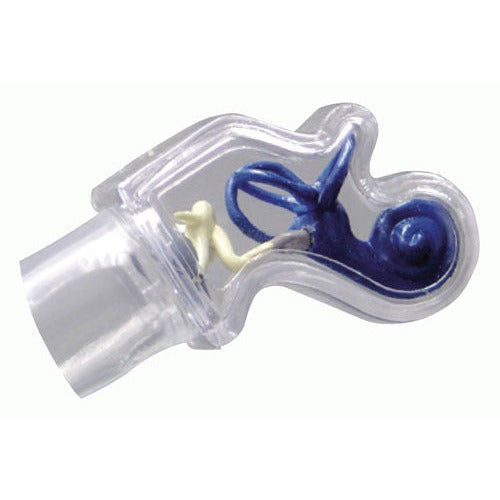 Life-Size Ear Model - Clear