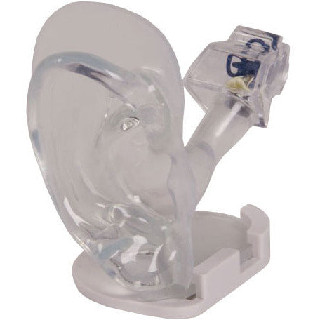 Life-Size Ear Model - Clear