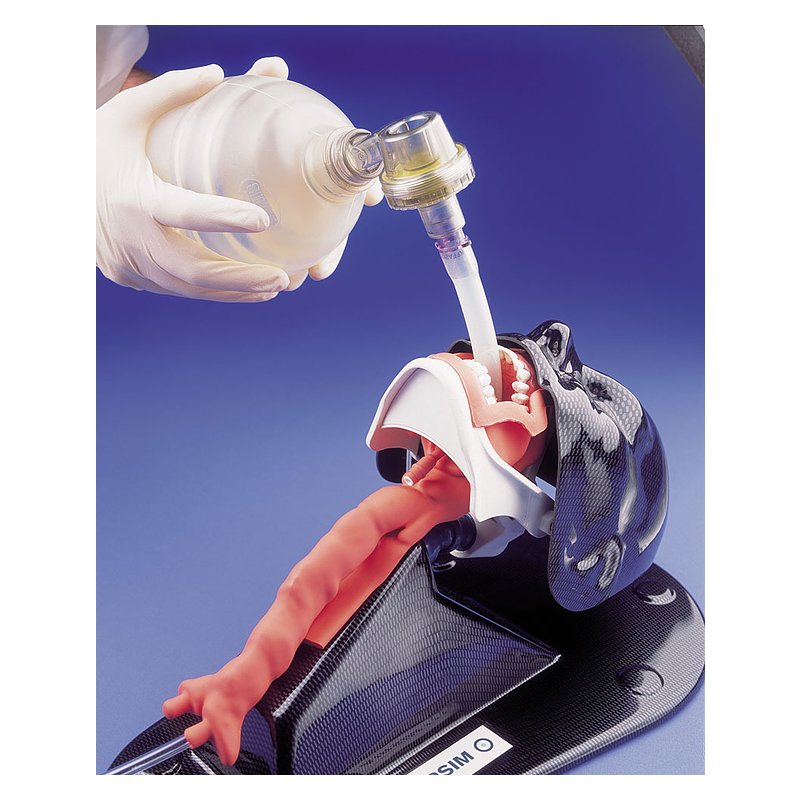 Intubation Trainer AirSim Standard - Erler Zimmer