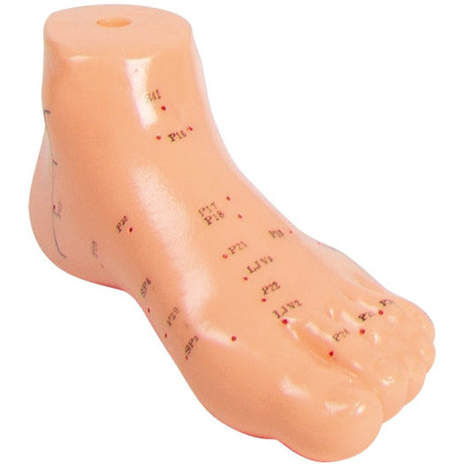 Chinese Acupuncture Foot - Erler Zimmer