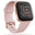 Fitbit Versa 2 - Petal/Copper Rose