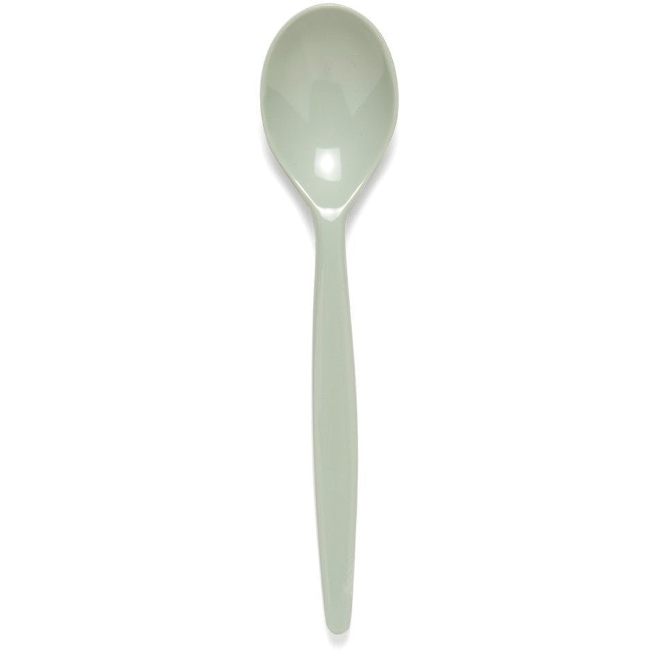 Harfield Antibacterial Standard Spoon