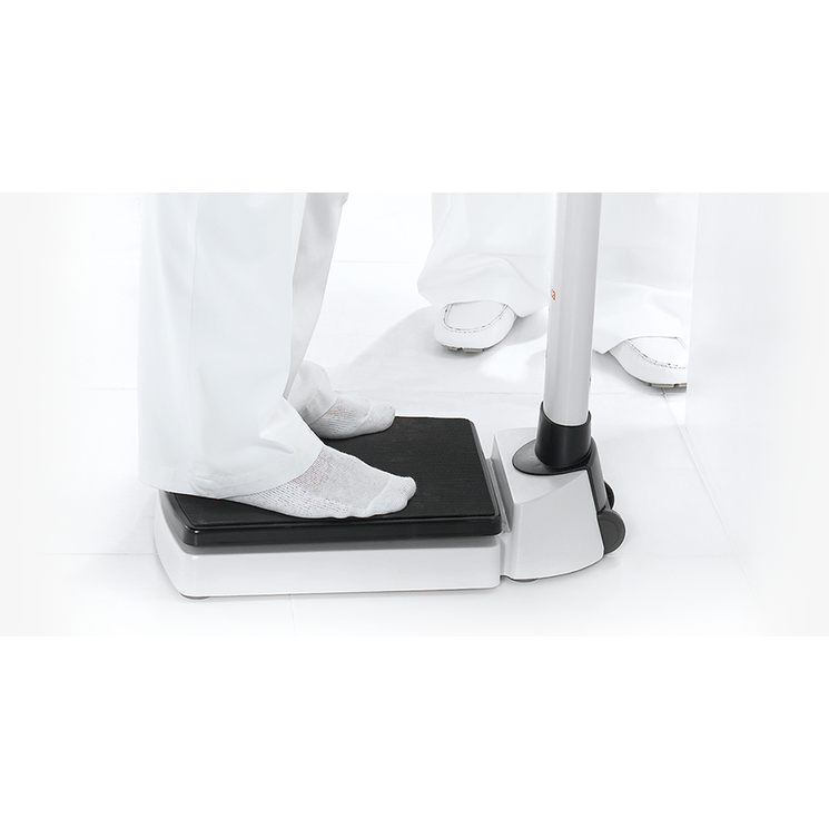 Seca 704 - Wireless Column Scales with BMI function - SECA