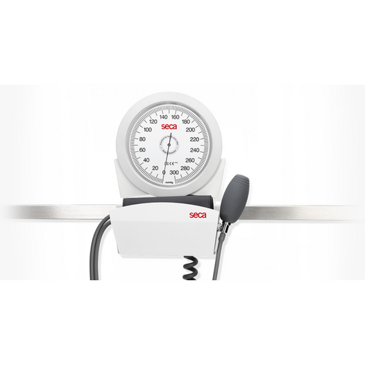 Rail mounting - seca b41 - SECA