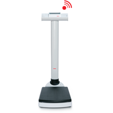 Seca 704 - Wireless Column Scales with BMI function
