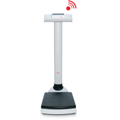 Seca 704 - Wireless Column Scales with BMI function - SECA