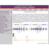 3M Littmann Introduction to Heart Sounds Version 2 CD-ROM