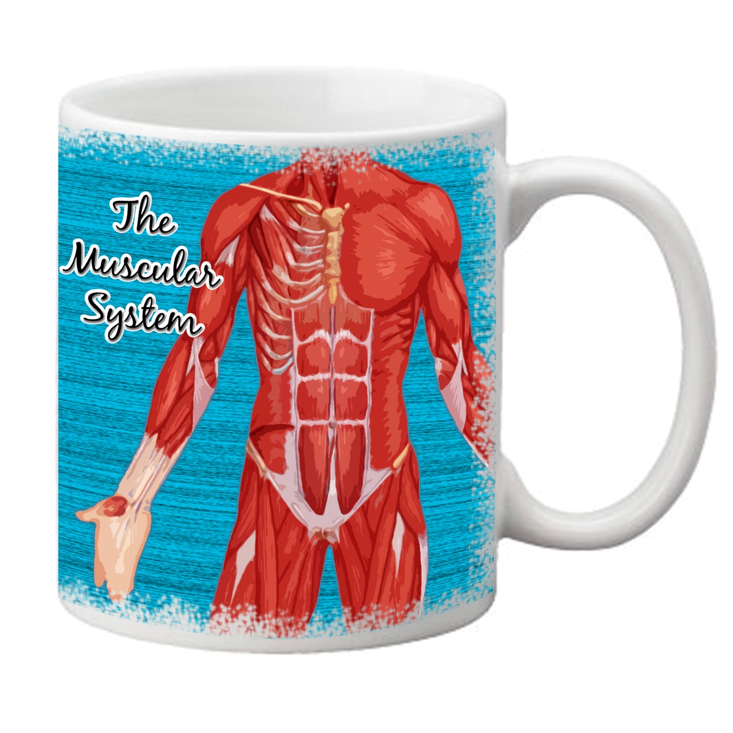 'The Muscular System' Mug