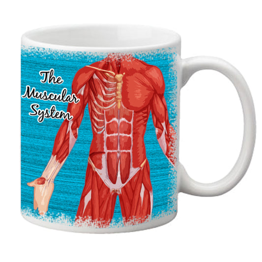 'The Muscular System' Mug - Medinc
