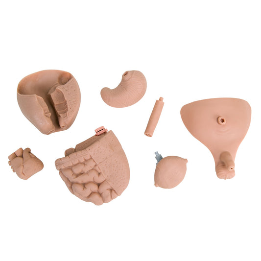 Nurse Training Baby, New Born - 3B Scientific