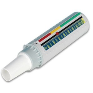 Pinnacle Peak Flow Meter - Intermedical