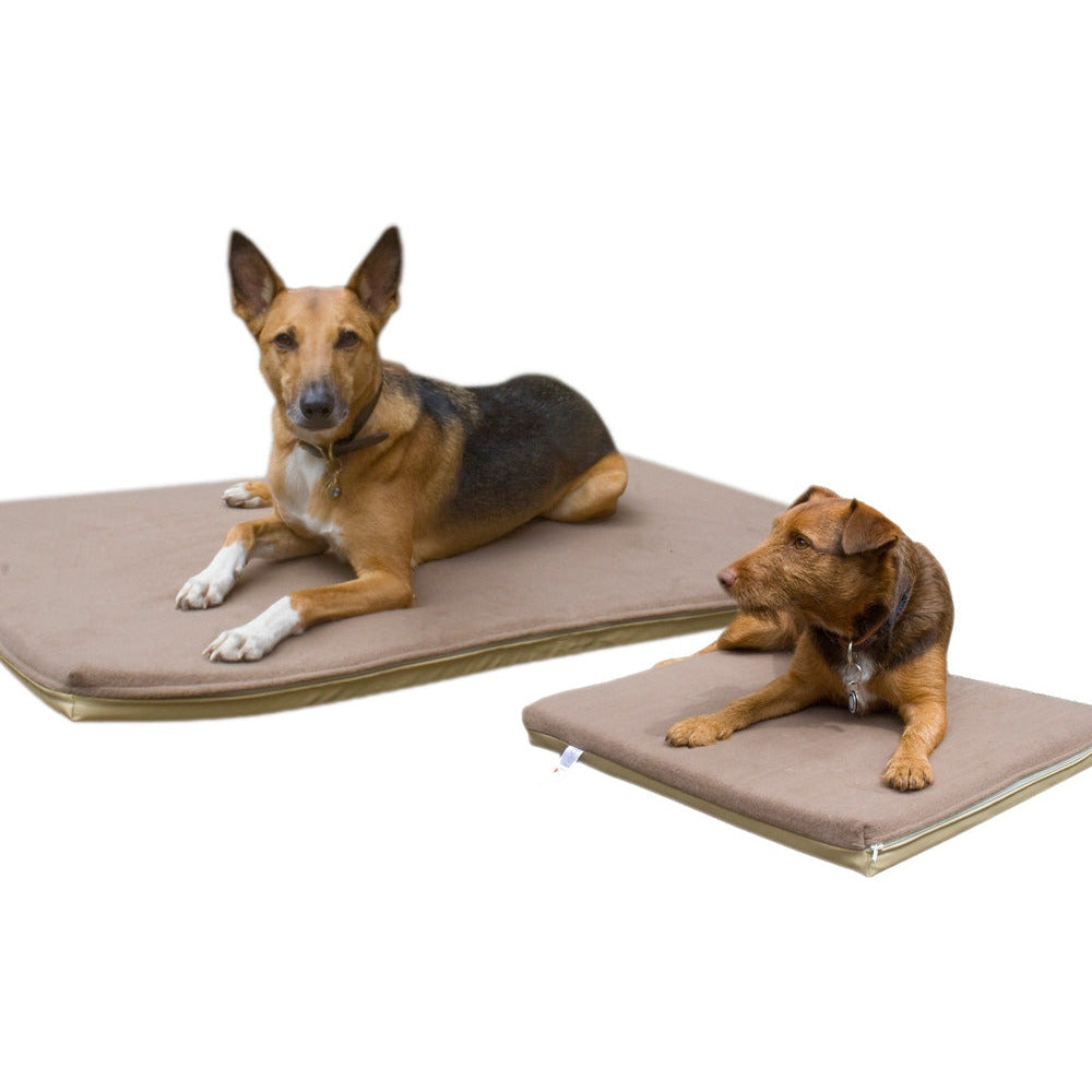 Posture Pal Orthopaedic Bedding 24x18in - MWI Animal Health