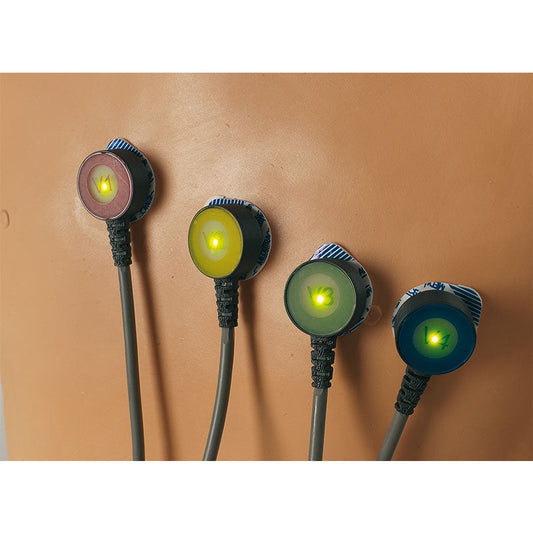 15-Lead ECG Placement Trainer - Erler Zimmer