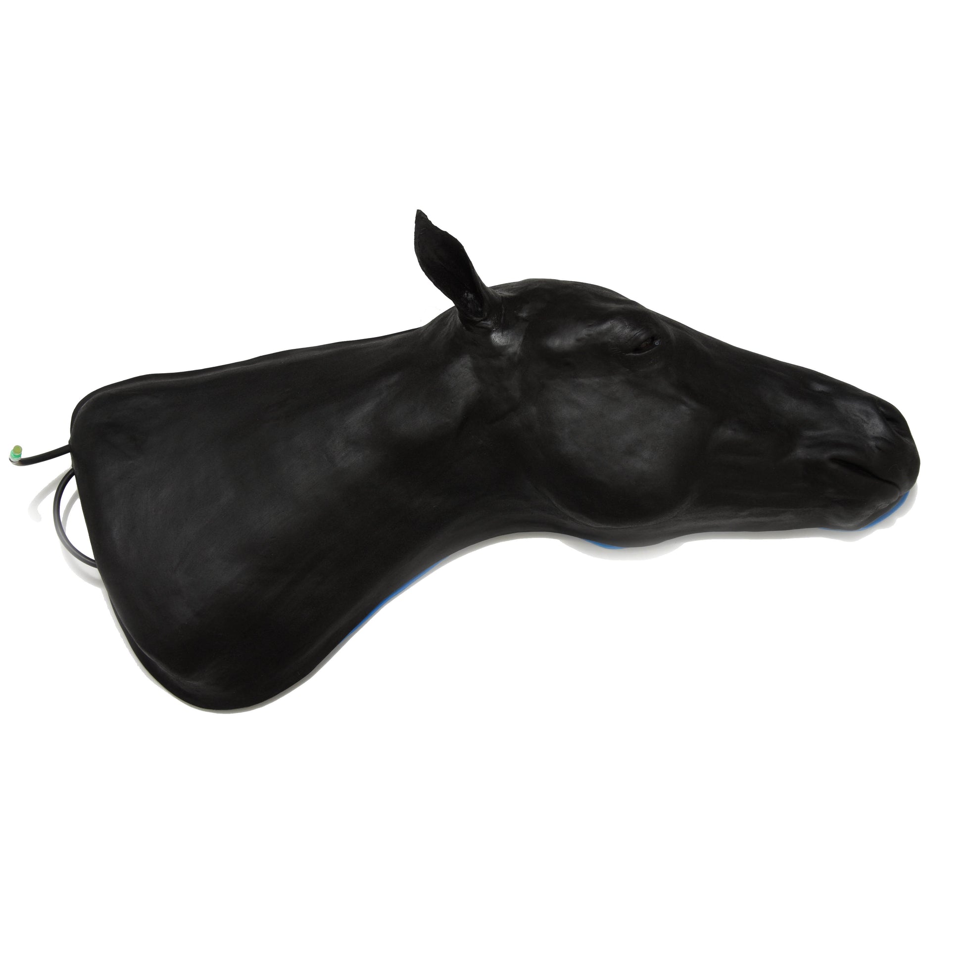 Equine Simulator 1.0 - Erler Zimmer