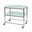 Stainless Steel Surgical Trolley 86x52x86cm (2 x Glass Effect Trays)