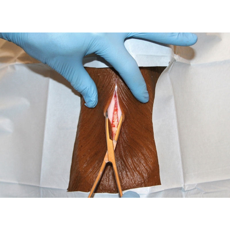 Louie K9 Tracheostomy Model - Erler Zimmer