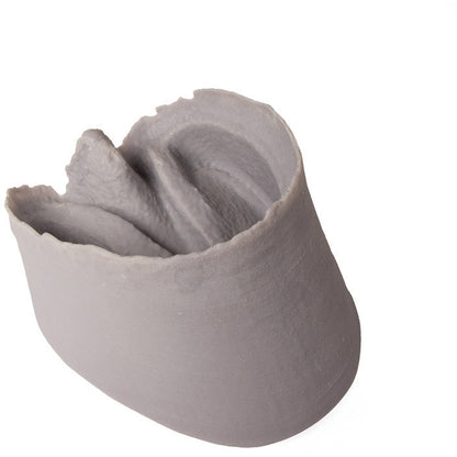 Hoof Capsule - Erler Zimmer