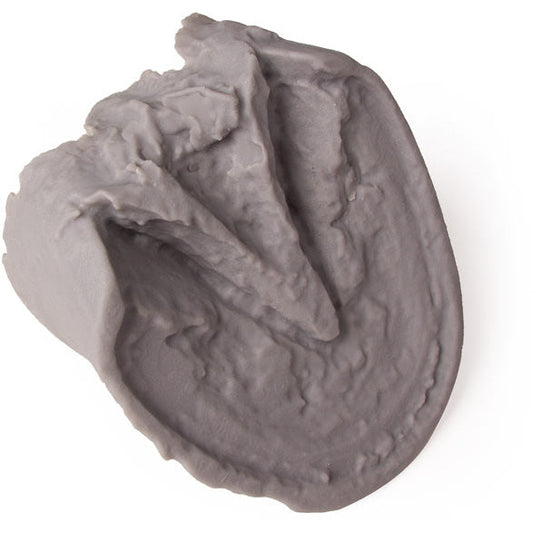 Hoof Capsule - Erler Zimmer